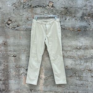 Men's Patagonia organic cotton chino pants Sz 30
